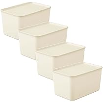 希少サイズ 完品 オウム貝の殻 大小2個セット フタゴヤシ 貝殻おまかせ5