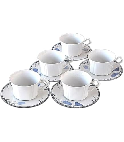 Amazon.co.jp: Noritake シエラモレナ カップ&ソーサー5客 大皿1枚