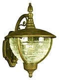 Special Lite Products Vista F-2911-BR/CR Medium Top Mount Light, Bronze [並行輸入品]