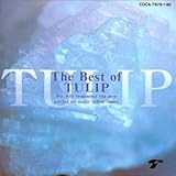 Best Of TULIP