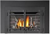 ナポレオンi4ds9 One Pieceサラウンドfor xir4モデルFireplaces、 I4DS9