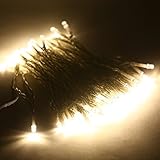 ER CHEN(TM) Indoor and Outdoor Waterproof Battery Operated String Lights on 33 Ft Long PVC String wi