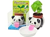 Peropon(ペロポン) パンダ バジル