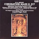 �Պ����~�T*�~�T�ȃn����