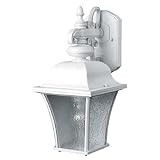 Maxim Lighting 1066BK Outdoor Wall Light [並行輸入品]
