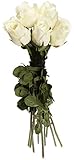 Sia Small Equador Rose Buds, 12 Stems, Cream, 16-Inches Tall [並行輸入品]