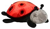 クラウドビートワイライトてんとう虫 夜空の星座が天井いっぱい！ おやすみベビー Cloud B Twilight Constellation Night Light, Lady Bug [並行輸入品]
