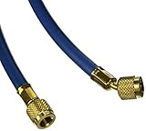 Yellow Jacket 21310 Plus II Hose Standard 1/4 Flare Fittings, 10, Blue by Yellow Jacket