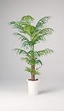 LION 人工植物　GB-237 品番57755