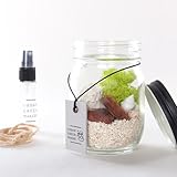 GLASS JAR TERRARIUM KIT + AIRPLANTS MEDIUM SET　URBAN GREEN MAKERS(アーバングリーンメーカーズ)