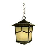 Westinghouse 69974 Ridgetop Two-Light Exterior Hanging Pendant, Marbleized Bronze Finish with Seeded
