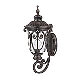 Acclaim 2111MM Naples Collection 1-Light Wall Mount Outdoor Light Fixture, Marbleized Mahogany [並行輸入