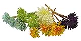 かわいい　多肉植物　造花 プラスチック製 ５本セット フェイク多肉植物 人工観葉植物　DIY　ベランダ　部屋　装飾