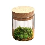 (観葉) 苔Terrarium 苔3種セット コルクボトル ミニ 説明書付 テラリウムキット 本州・四国限定[生体]