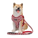 THAIN ハーネス リード 小型犬 胴輪 人気 ハーネス 犬 用 犬リード 犬 ハーネス リードセット 犬 唐草模様 夜間反射 サイズ調節可能(S 唐草模様赤)