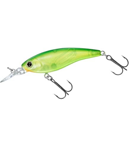 Amazon.co.jp: ダイワ(DAIWA) バスルアー STEEZサイレント