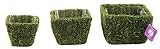 Super Moss 55000 Deco Square Basket, Small, Pack of 3 [並行輸入品]