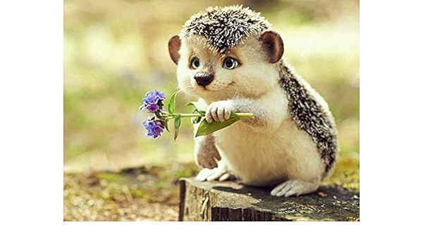 Amazon 大人のための数字で描く 森のかわいいハリネズミ動物 初心者向けのペイントが簡単なキャンバス上のキット アートクラフトの家の壁の装飾 40x50cm フレームレス 刺しゅうキット 通販
