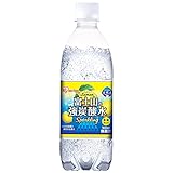 アイリスオーヤマ 炭酸水 富士山の強炭酸水 レモン 500ml ×24本