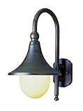 Trans Globe Lighting 4775 RT 1-Light Coach Lantern, Rust [並行輸入品]
