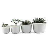 T4U プラスチック植木鉢 ラウンド 多肉植物 サボテン鉢 フラワーポット プランター容器 白 4個入り
