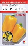 【種子】カラーピーマン　フルーピーイエロー 約15粒