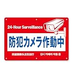注意看板 サイン プレート 30×20cm F：防犯カメラ （横型） 1枚 穴あけ加工 6穴（直径5ｍｍ）屋外対応 防犯 警告 安全標識 私有地 PVC NYANDELMO ND-0360-R03-F-1
