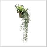 スパイス DECOR IMITATION SUCCLENTS HANGING POT TADY5150