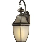 Forte Lighting 10020-01-14 Traditional 1-Light CFL Exterior Wall Lantern, Royal Bronze Finish with F