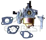 HOMELITE PRESSURE WASHER CARBURETOR 179CC 180CC DJ165F 2700PSI 2.3GPM UT80522D [並行輸入品]