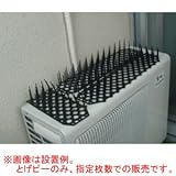とげピー 60枚入