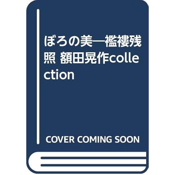 ぼろの美 襤褸残照(らんるざんしょう) | 額田 晃作 |本 | 通販 | Amazon