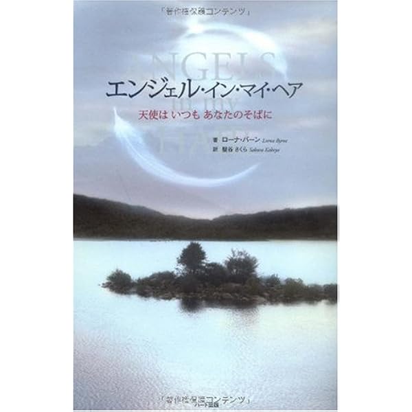 自分を愛するたましいのレッスン―答えはいつもそこにあります | ソニア