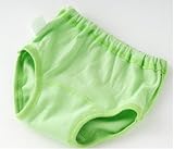 (チャックル) chuckle カエルちゃん防水布付きトレーニングショーツ2枚組 グリーン 100cm W4622-100-70