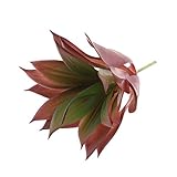 Baoblaze クラフト　手作り用　人工多肉植物　飾り　装飾