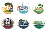 リーメント ポケットモンスター テラリウムコレクション 12 BOX商品 全6種 6個入り