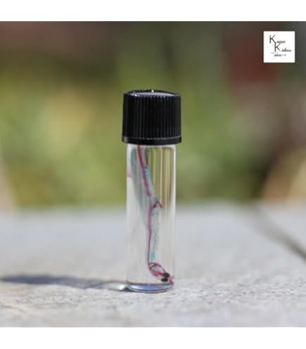 テンガイハタ　特殊グリセリン標本 グリセリン標本改訂版 - スカベンジャーの標本部屋