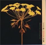 JAZZ�Œ��� ���{�^�� ��i�W