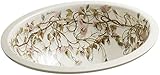 KOHLER K-14218-BR-96 Briar Rose Design on Caxton Undercounter Bathroom Sink, Biscuit [並行輸入品]