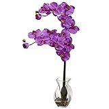 Nearly Natural 1295-OR Phalaenopsis Orchid with Vase Arrangement, Orchid [並行輸入品]