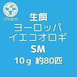 （生餌）ヨーロッパイエコオロギ ＳＭ １０グラム（約８０匹） 爬虫類 両生類 大型魚 餌 エサ 沖縄・離島不可 タイム便・航空便不可