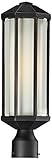 Z-Lite 526PH-ORB Cylex Outdoor Post Light, Aluminum Frame, Oil Rubbed Bronze Finish and Matte Opal S
