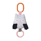 Manhattan Toy Camp Acorn Owl Baby Teether & Travel Pull Toy Baby Toy [並行輸入品]
