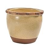 2つの小さなガーデンポットのセット創造的なポットポット多肉植物のポット[Y]