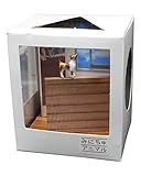 プラッツ CATB-6 みにちゅアニマル ソラ