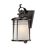 Westinghouse 6674100 Senecaville One-Light Exterior Wall Lantern, Weathered Bronze Finish on Steel w