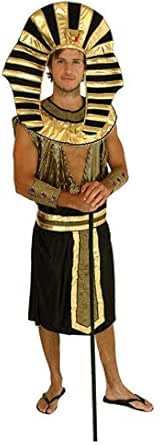 即納 Cat In The Hat ツタンカーメン ファラオ 王様 キング エジプト 大人用 レディス 女性用 Dr Seuss おもしろい クリスマス ハロウィン コスチューム コスプレ 衣装 変装 仮装 最安 Vino Lacavacostarica Com