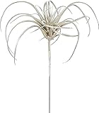 asca 造花 ティランドシア 全長8cm AX68579-000