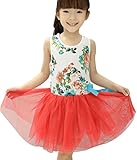 Fairy Wings DRESS ベビー・ガールズ カラー: レッド