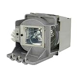 Rich Lighting ランプ for BenQ ベンキュー W2700 HT3550 HT3550i HT3560 HT3560i W2700i W2710 W2710i TK810 TK850 TK850i 5J.JKC05.001 プロジェクター 交換用 ランプ